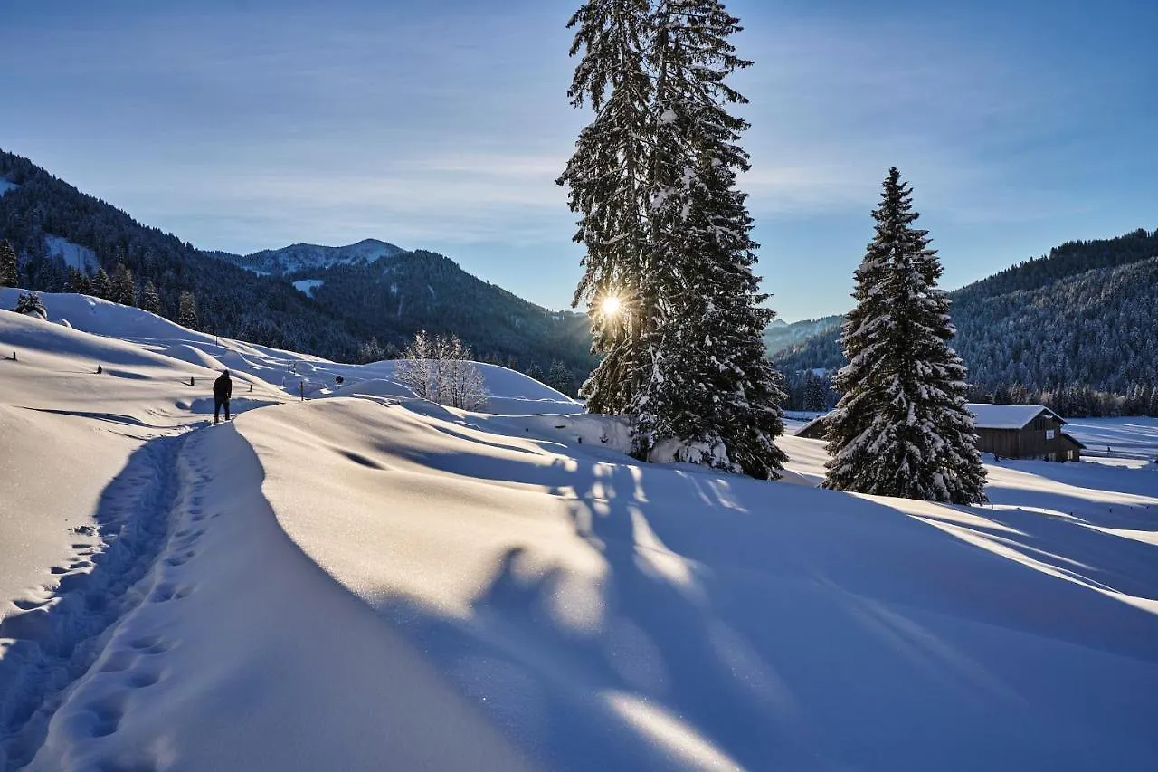 Hubertus Mountain Refugio Allgaeu 巴尔德赫旺 4*,